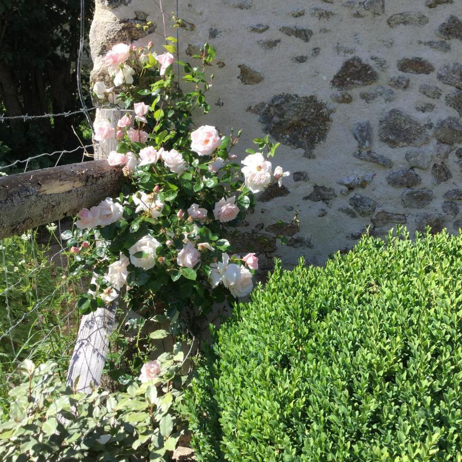 Bed and Breakfast Les Epis Du Vent Adilly Esterno foto