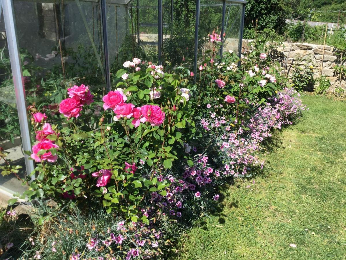 Bed and Breakfast Les Epis Du Vent Adilly Esterno foto